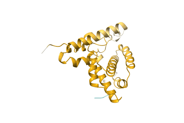 AF-A0A3S5YFS4-F1 image