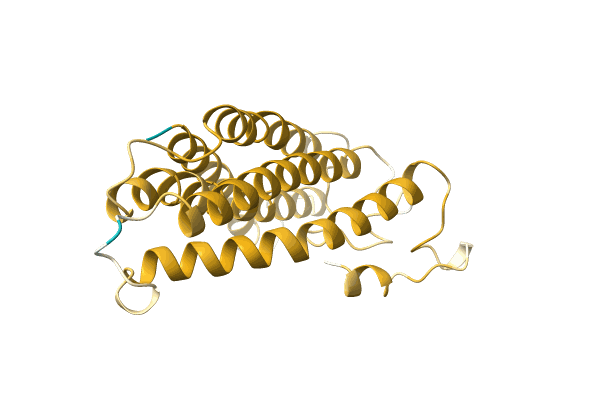 AF-A0A3S8T5Y0-F1 image