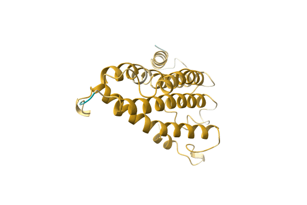 AF-A0A3S8TGU7-F1 image