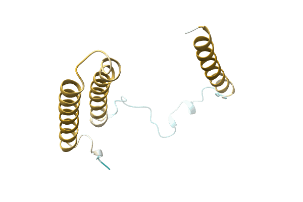 AF-A0A411ARI3-F1 image