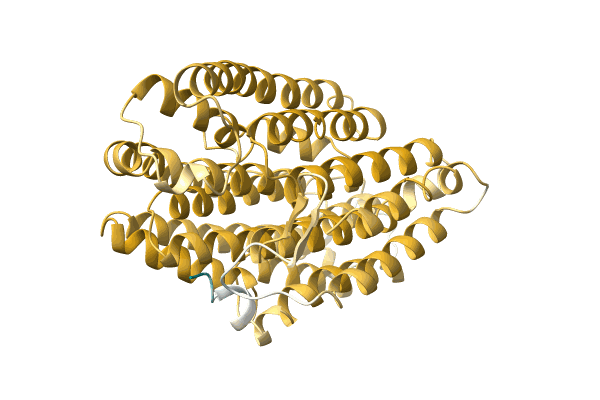 AF-A0A411ARI4-F1 image