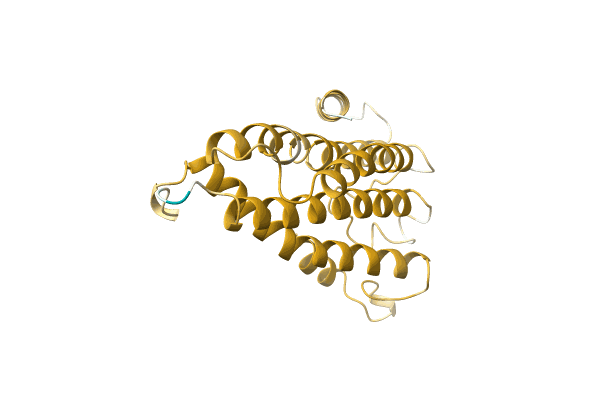 AF-A0A411G8S5-F1 image