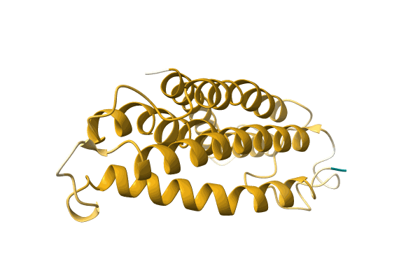 AF-A0A411M6Y9-F1 image