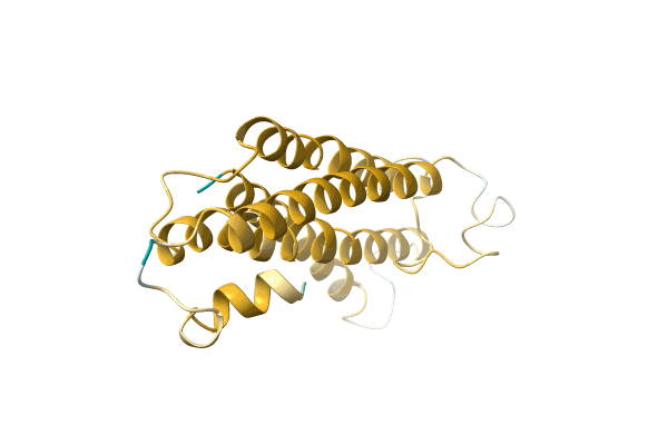 AF-A0A411ND55-F1 image