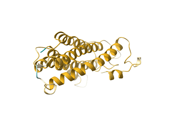 AF-A0A411NIH2-F1 image