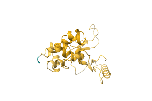 AF-A0A411P0J7-F1 image