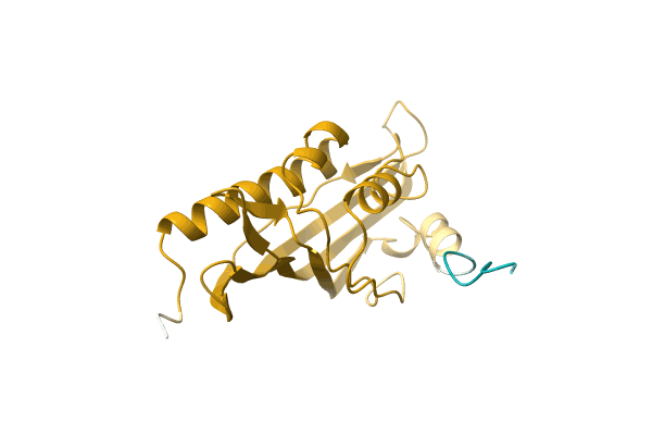 AF-A0A411PQN4-F1 image