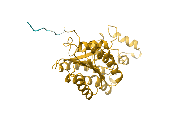 AF-A0A411PQN6-F1 image