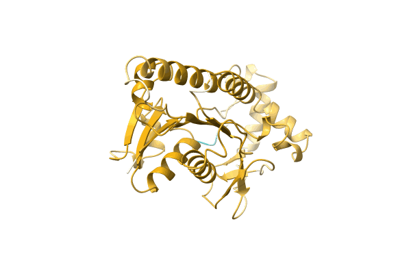 AF-A0A411PQN7-F1 image