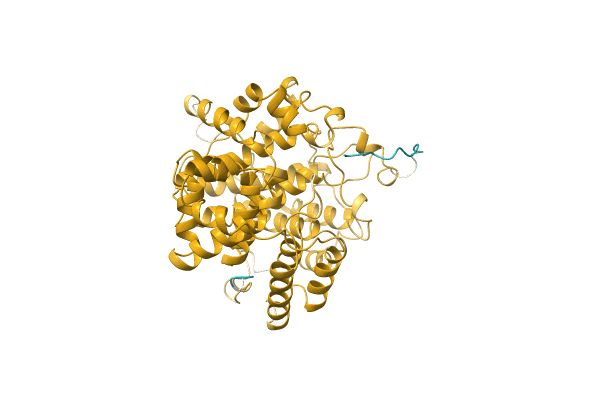 AF-A0A411PQN8-F1 image