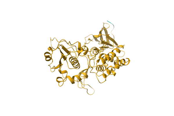 AF-A0A411PQP8-F1 image