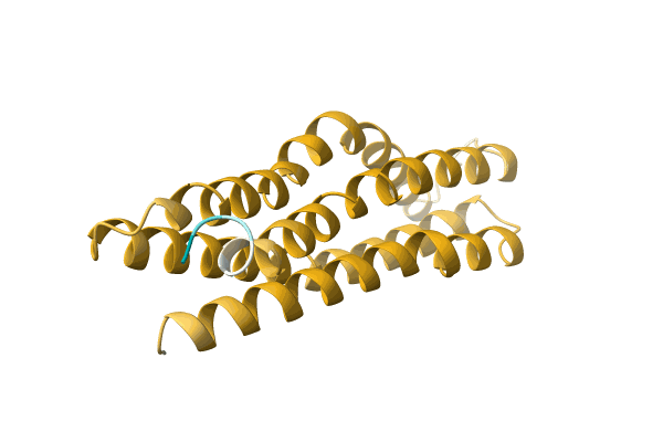 AF-A0A411PQQ5-F1 image