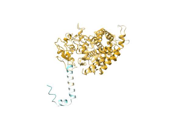 AF-A0A455R4X0-F1 image