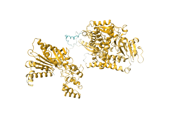 AF-A0A455R5H4-F1 image