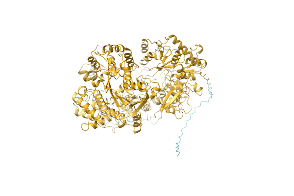 AF-A0A455R7E6-F1 image