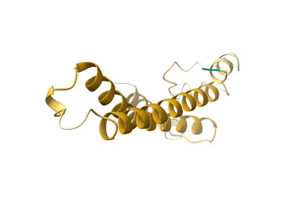 AF-A0A481UIX5-F1 image