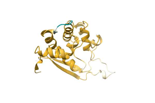 AF-A0A482G6G0-F1 image