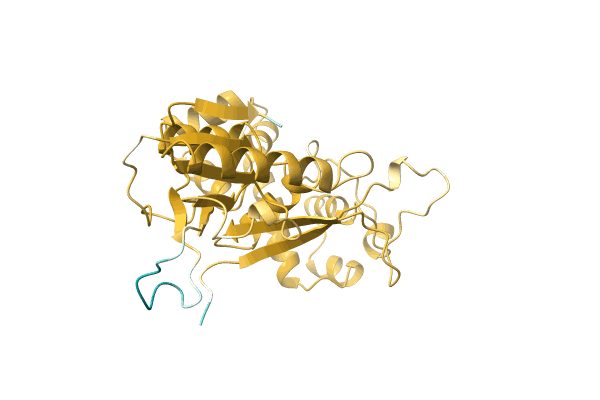 AF-A0A482GBL9-F1 image