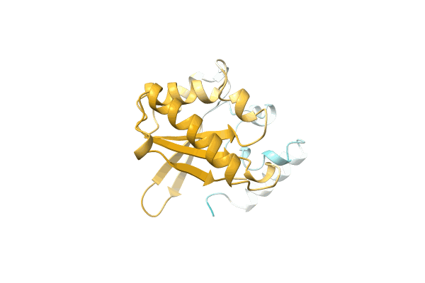 AF-A0A482GBX6-F1 image