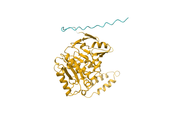 AF-A0A482PDI9-F1 image