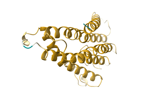 AF-A0A499HRP6-F1 image