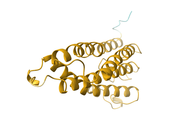 AF-A0A499HRR9-F1 image