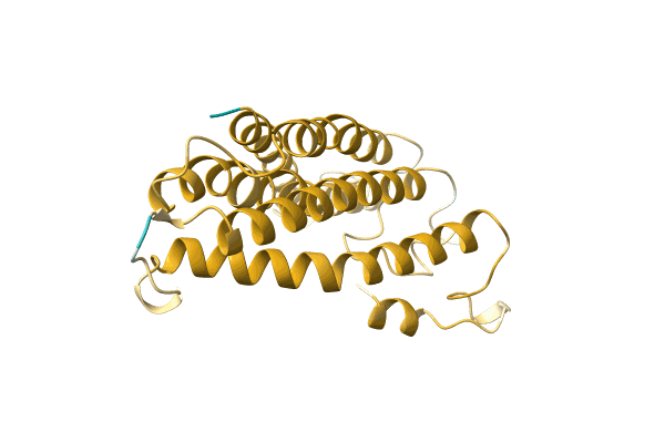 AF-A0A499HWZ1-F1 image