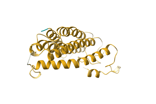 AF-A0A499I728-F1 image