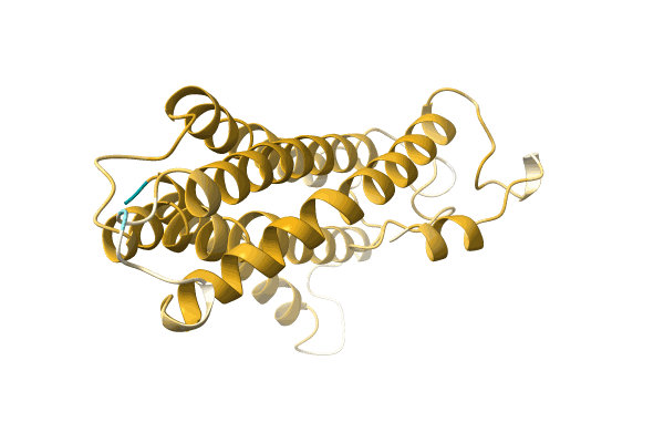 AF-A0A499ICH1-F1 image