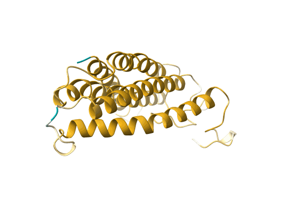 AF-A0A499IXE1-F1 image