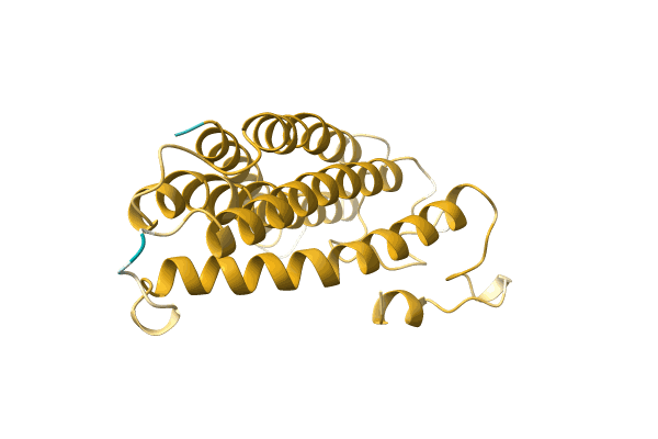 AF-A0A499J6W5-F1 image