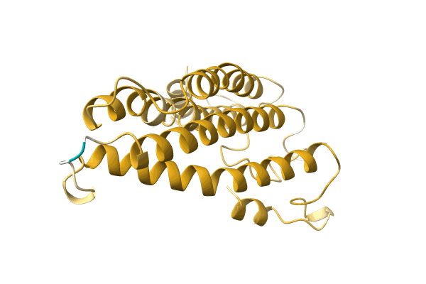 AF-A0A499JKX9-F1 image