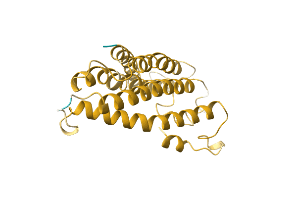 AF-A0A499JLI0-F1 image