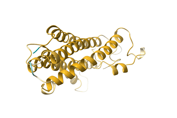 AF-A0A499JM16-F1 image