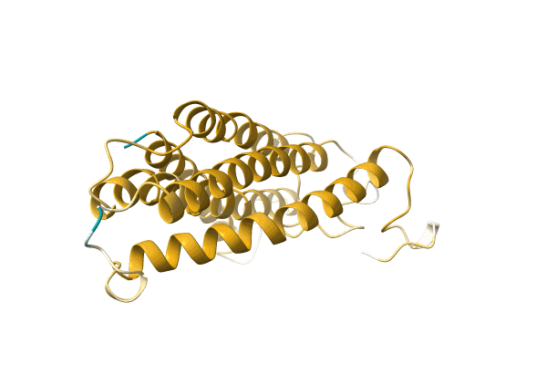 AF-A0A499JWK8-F1 image