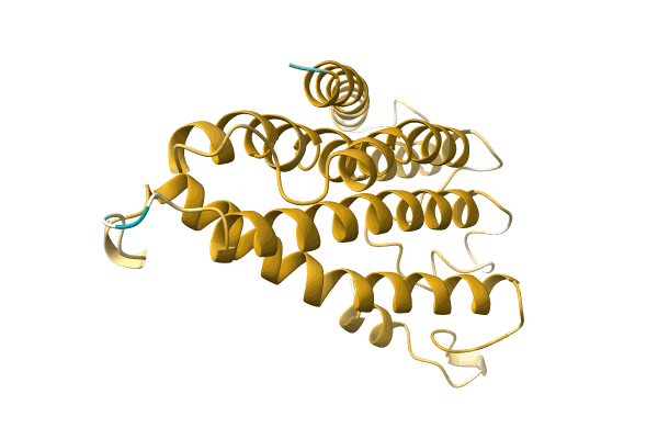 AF-A0A499JXU4-F1 image