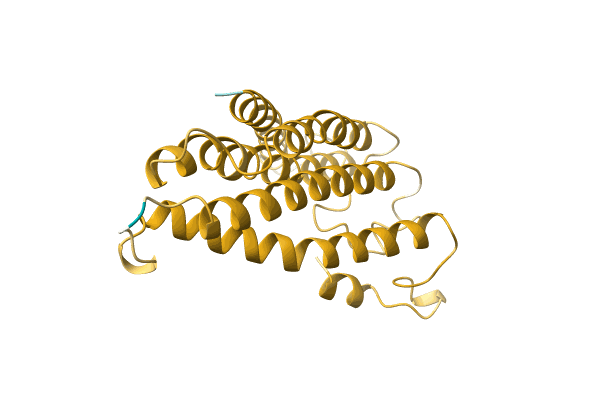 AF-A0A499KVM2-F1 image