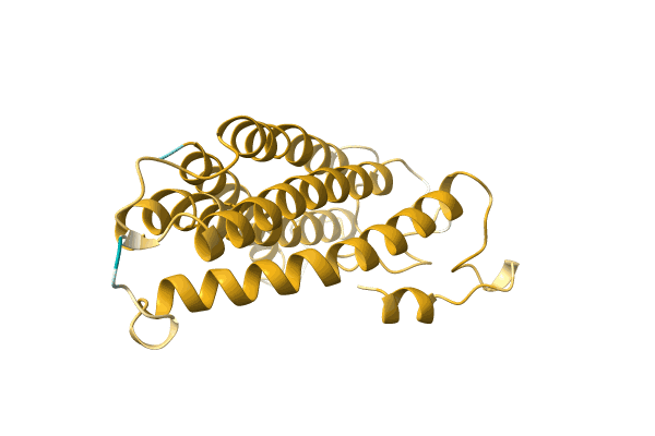 AF-A0A499L1P1-F1 image