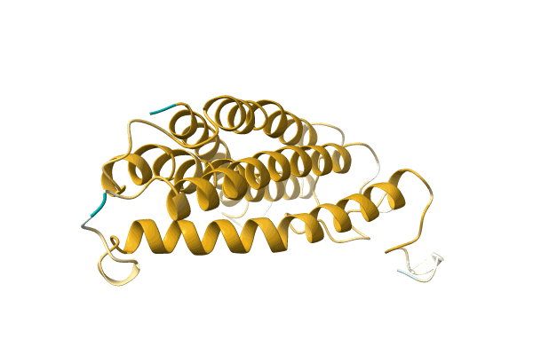 AF-A0A499L2M6-F1 image