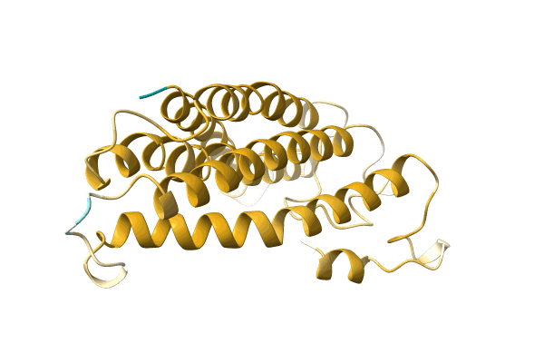 AF-A0A499L2R4-F1 image