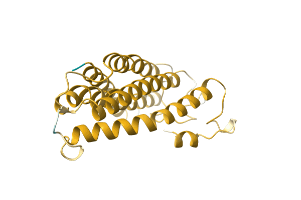 AF-A0A499L2T2-F1 image