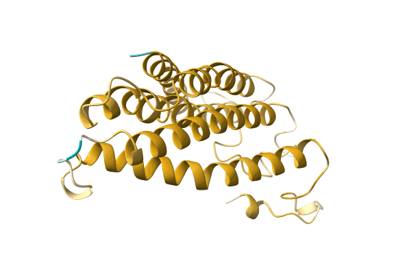 AF-A0A499LNQ0-F1 image