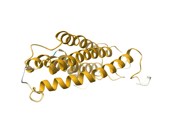 AF-A0A499LPA4-F1 image