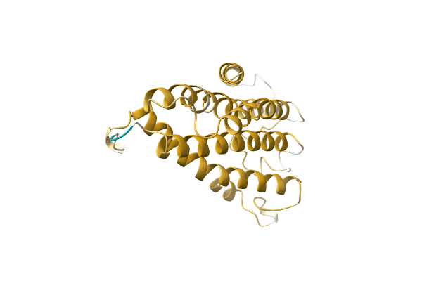 AF-A0A499LRD9-F1 image