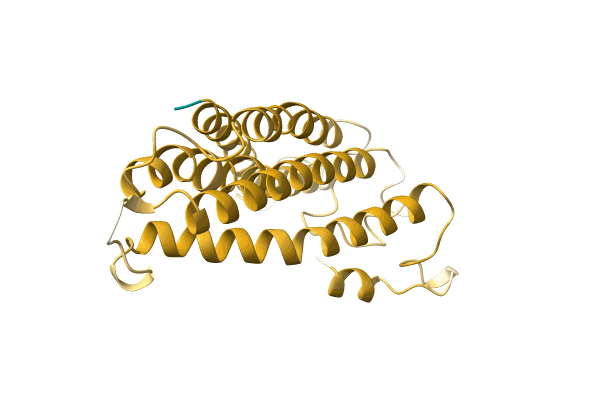 AF-A0A499M453-F1 image