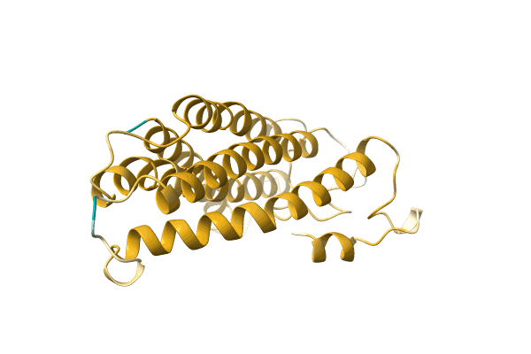 AF-A0A499M784-F1 image