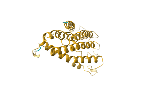 AF-A0A499MC21-F1 image