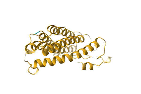 AF-A0A499MCV5-F1 image