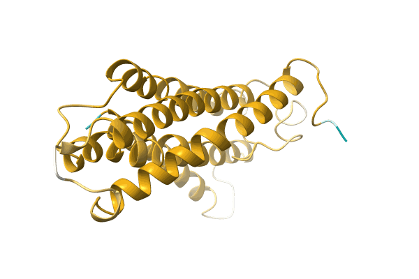 AF-A0A499MDC9-F1 image