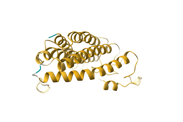 AF-A0A499MDH8-F1 image